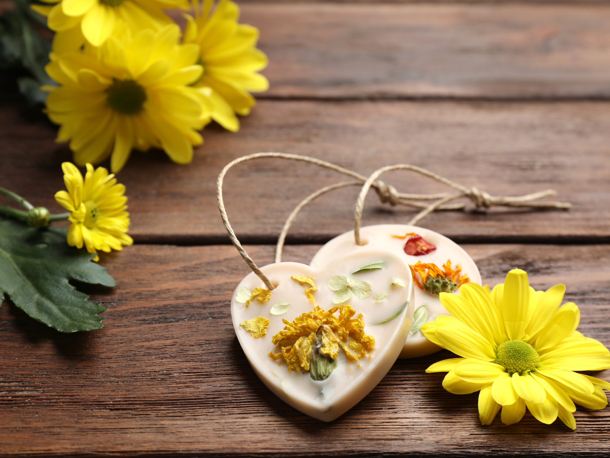 Holiday Special Botanica Wax sachet – Limited Edition Scents for the Festive Season