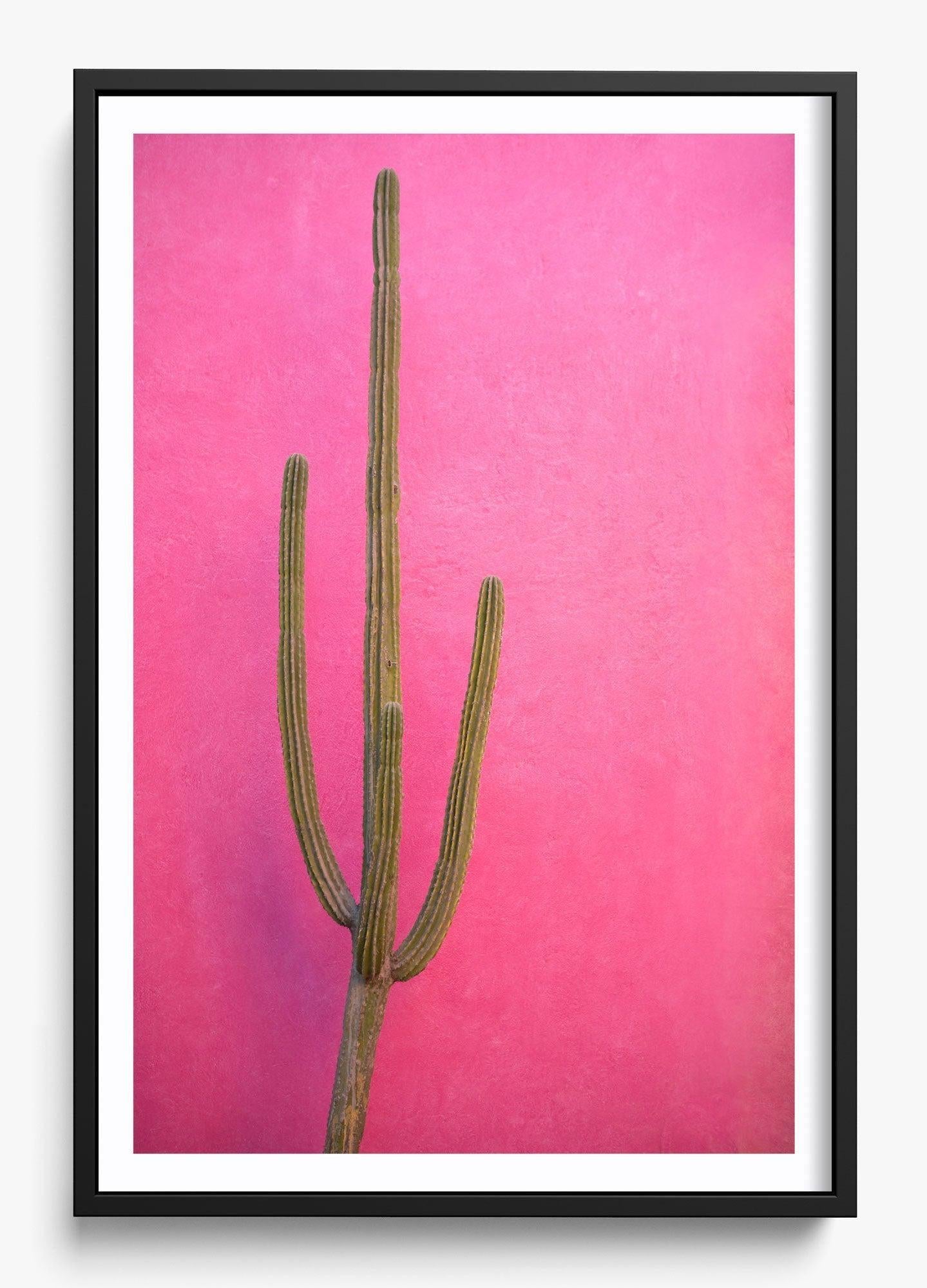 Cactus Pink