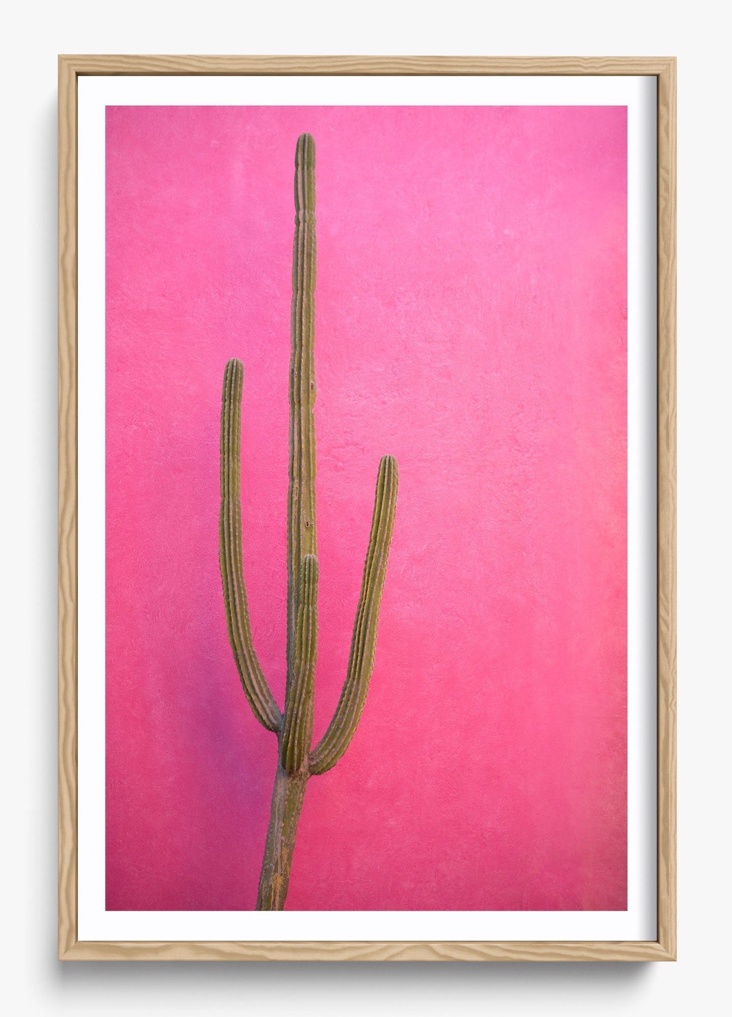 Cactus Pink