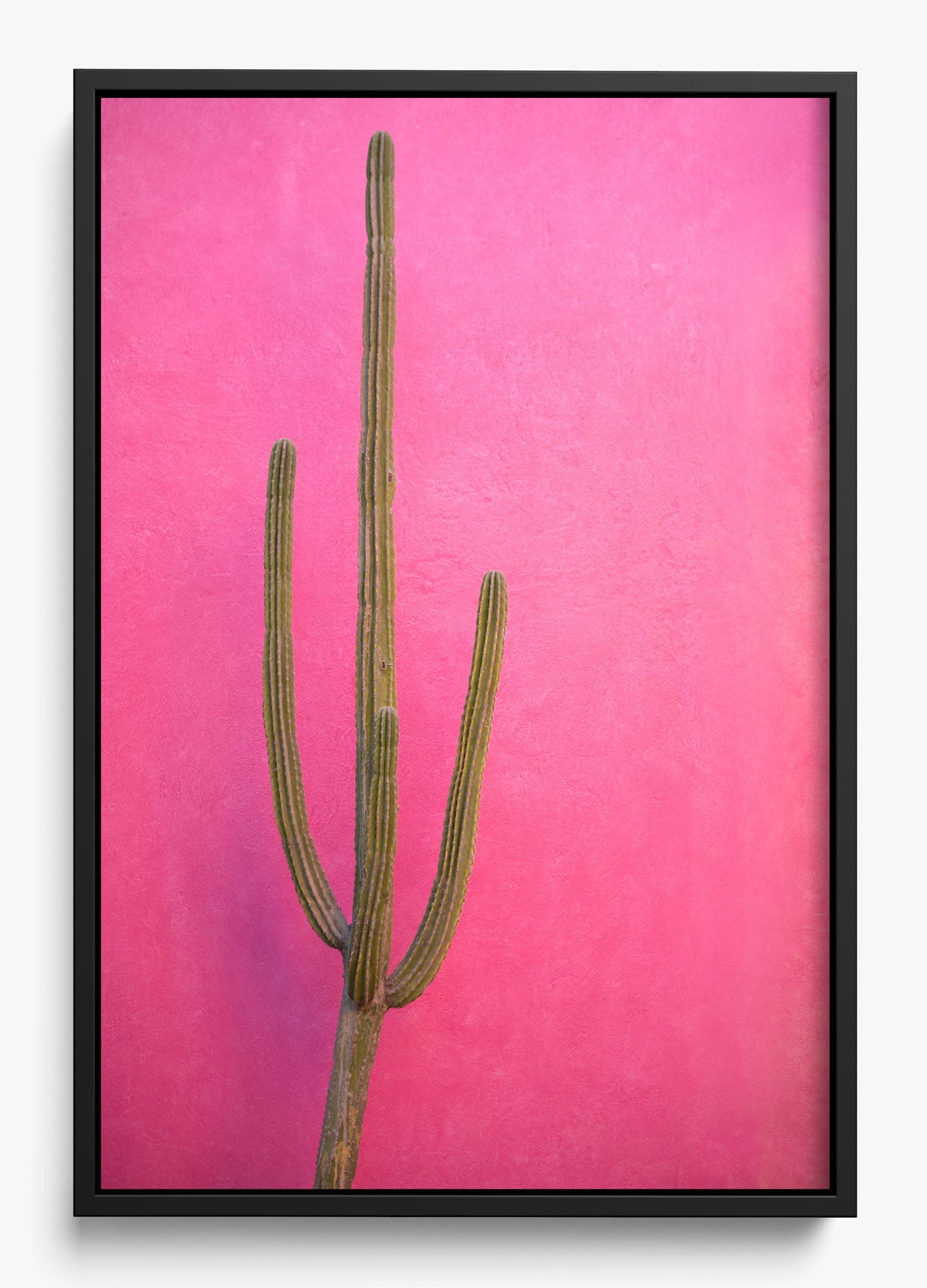 Cactus Pink