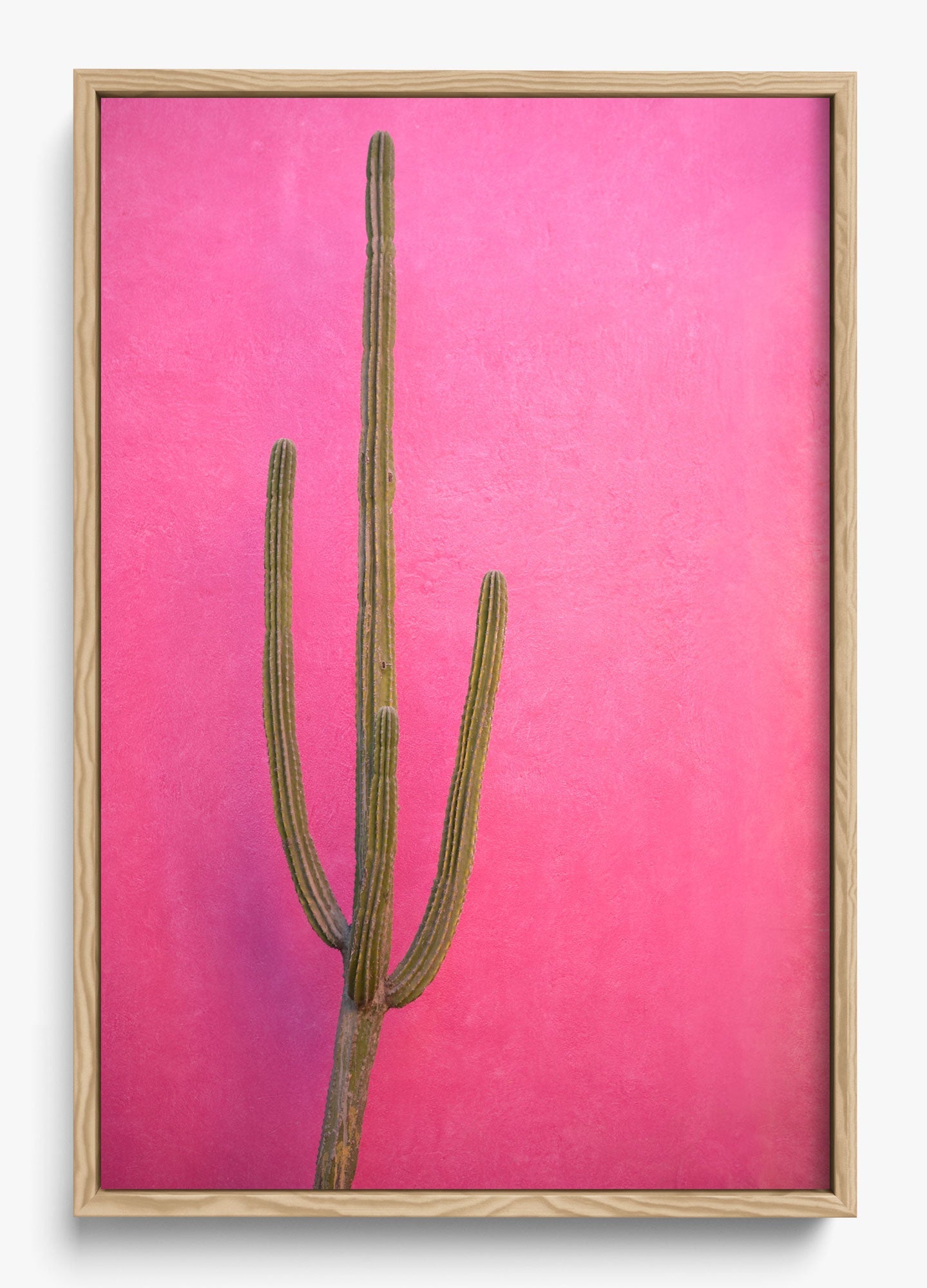 Cactus Pink